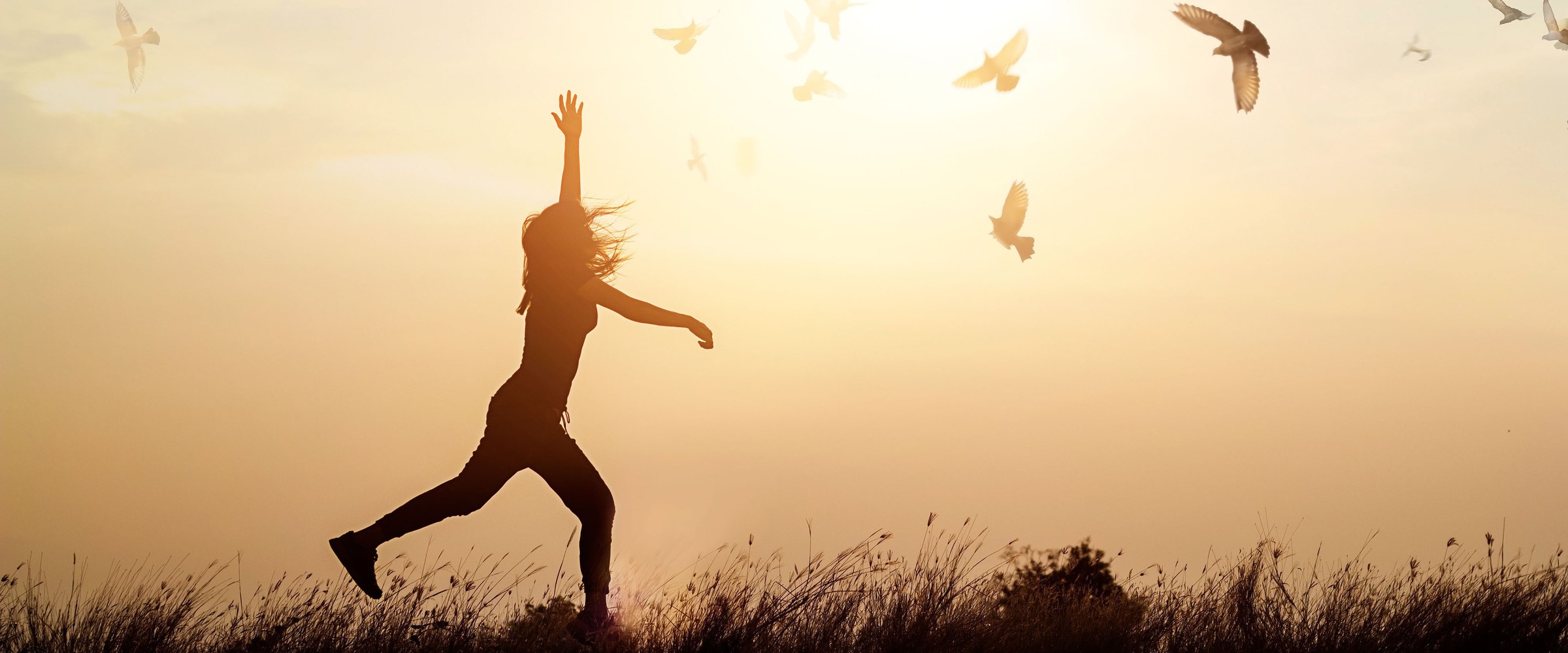 Woman and flying birds enjoying life in nature on sunset background